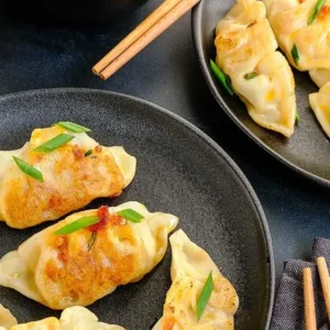 Gyozas veganas 30u.